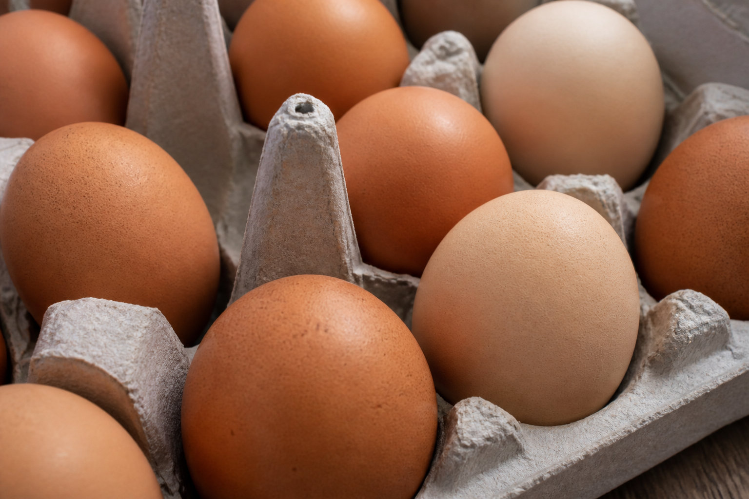 Pourquoi la température de l'oeuf fait toute la différence ?