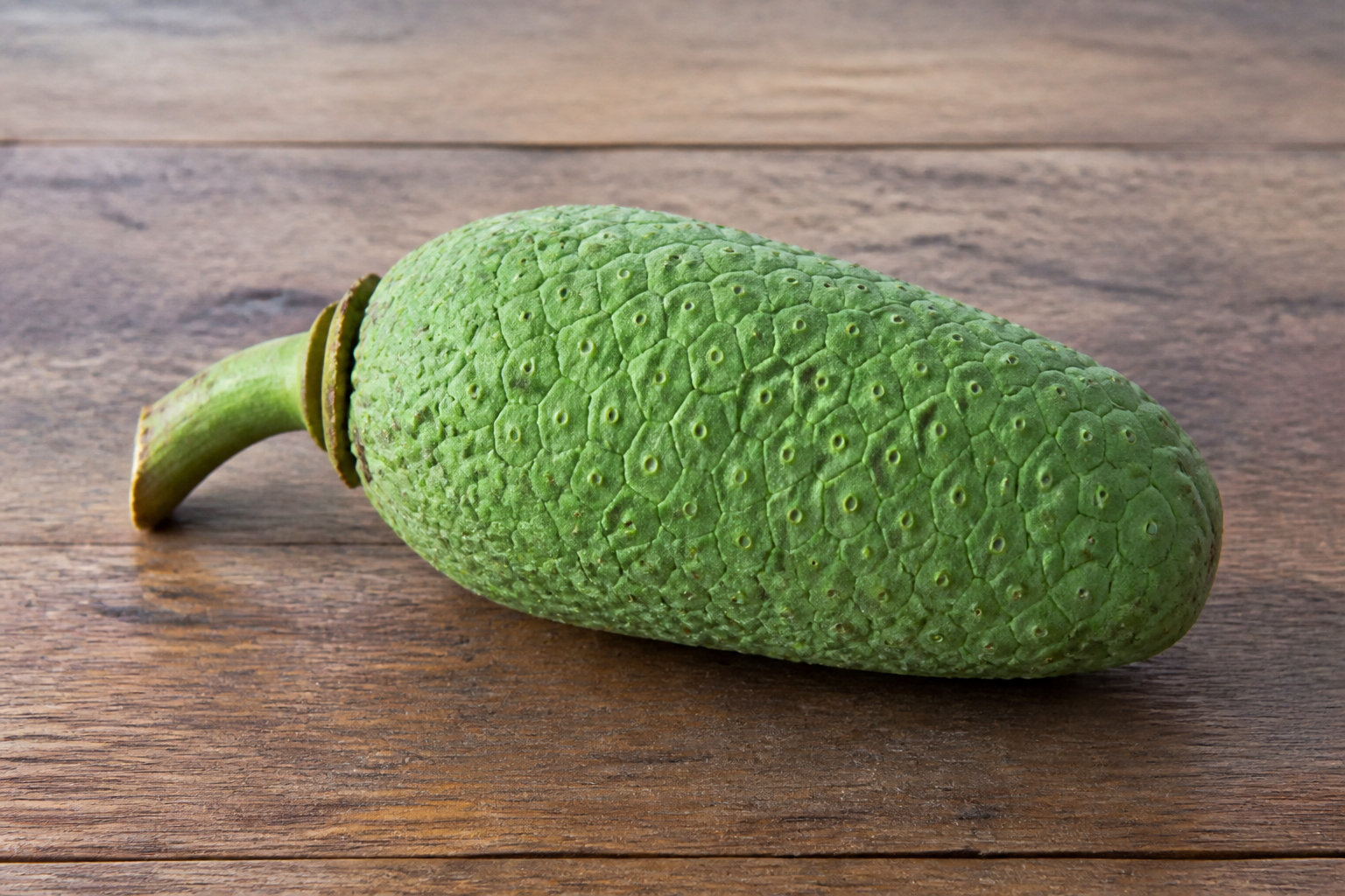 Faire fructifier son Monstera, c'est possible ?