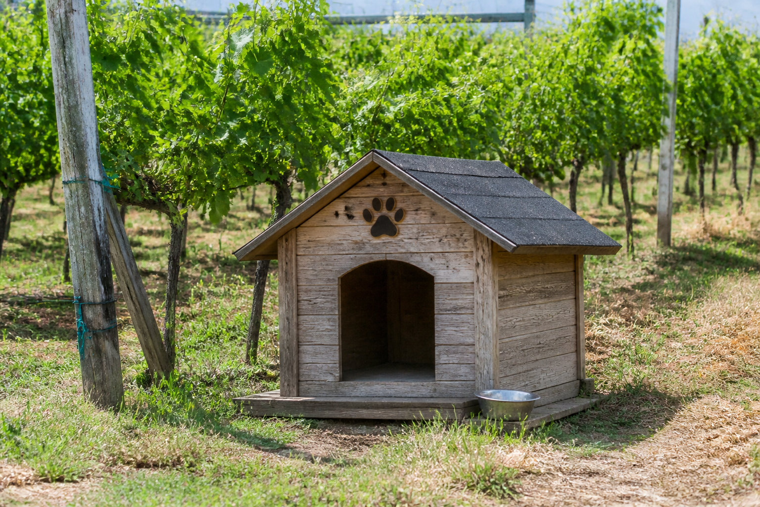 Le Chenil de la route du Champagne : l'alternative traditionnelle