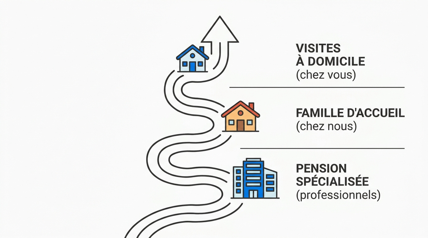 Différentes options de garde d'animaux à La Rochelle incluant pension, famille d'accueil et visite à domicile