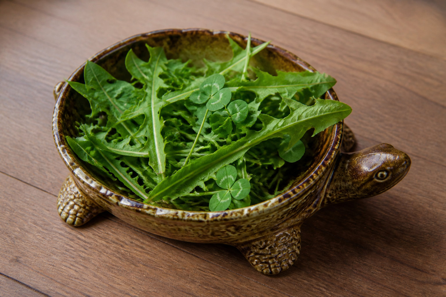 Les secrets d'une nutrition équilibrée et d'un suivi médical