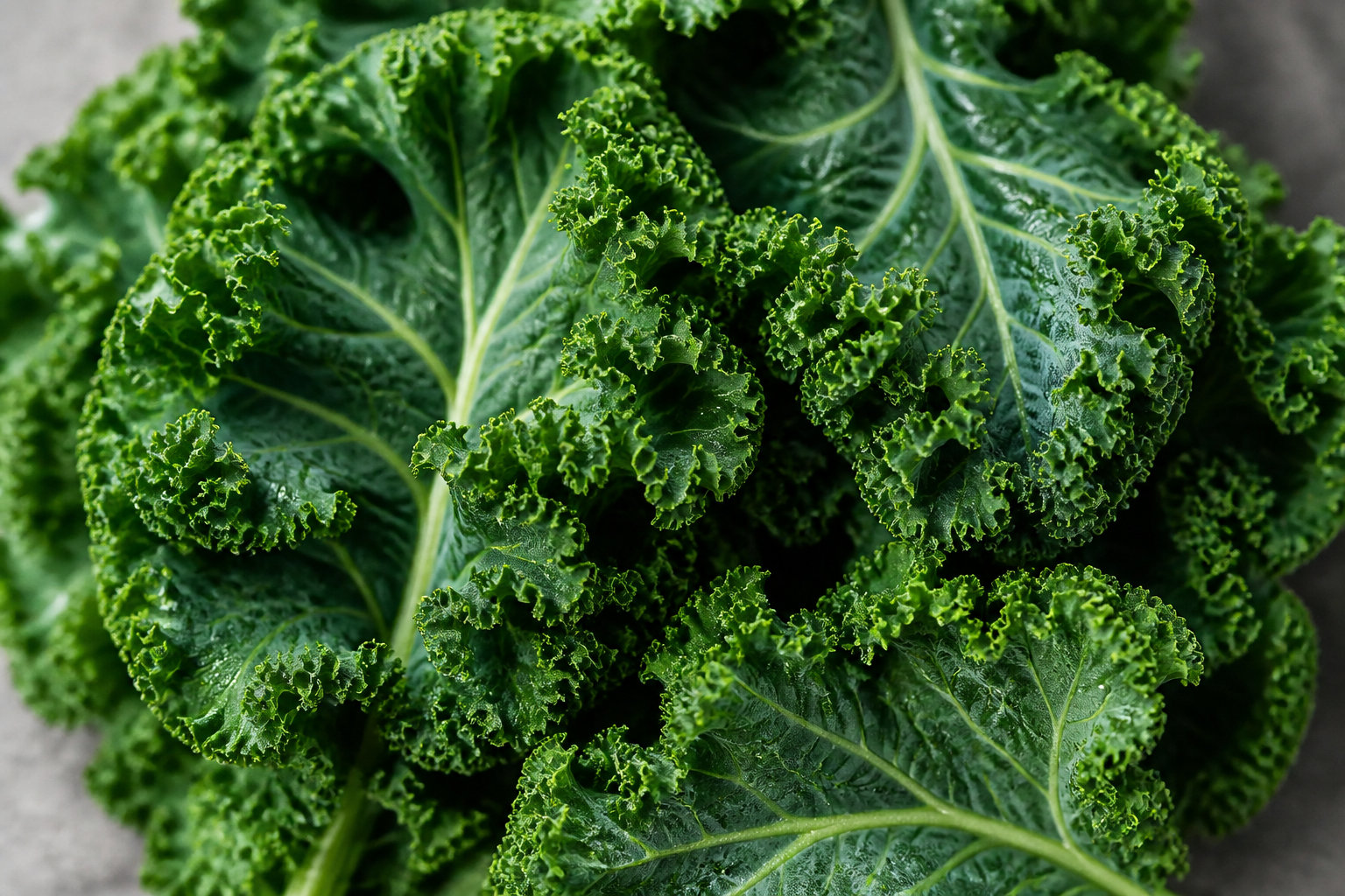 Une mine de nutriments pour votre santé au quotidien