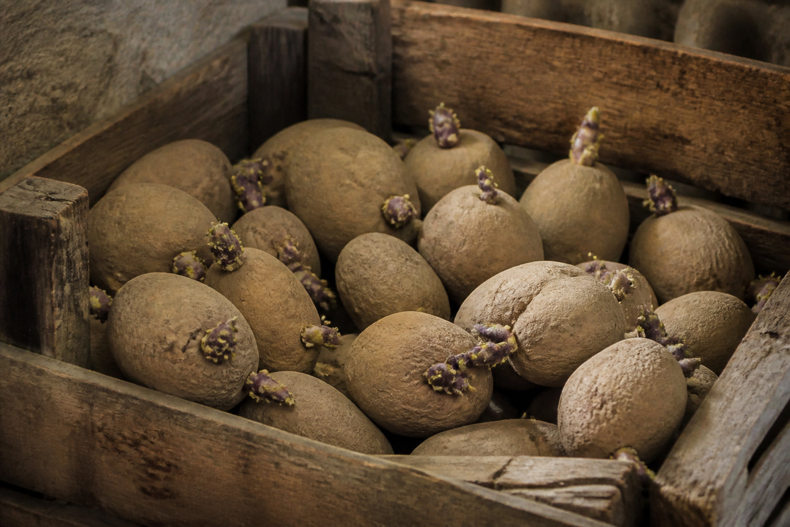 Comment préparer vos tubercules pour gagner du temps ? 🥔