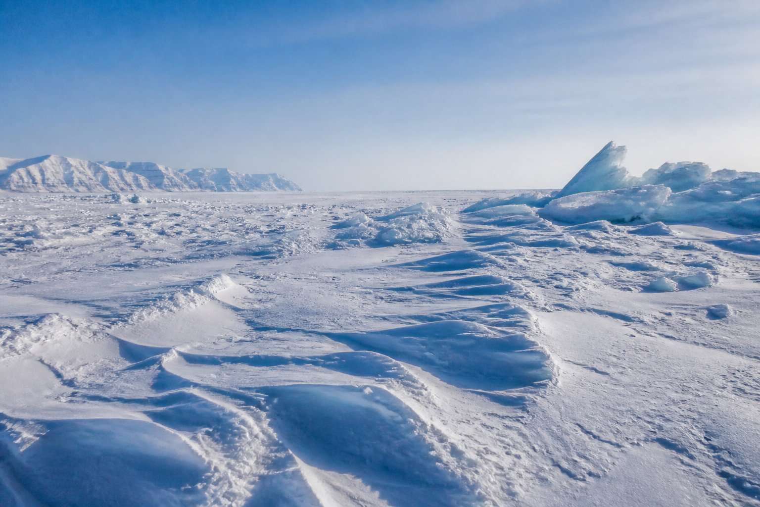 Comment survit-il à des températures glaciales ?
